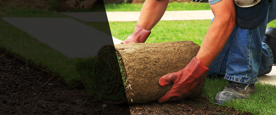 Princess Anne Landscapers